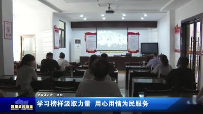 学习榜样汲取力量  用心用情为民服务