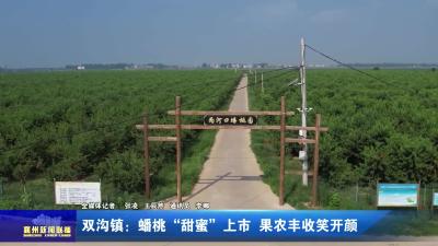 双沟镇：蟠桃“甜蜜”上市  果农丰收笑开颜