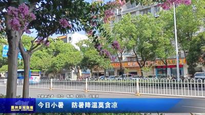 今日小暑  防暑降温莫贪凉