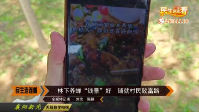 林下养蝉“钱景”好 铺就村民致富路