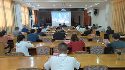 我区组织收听收看襄阳市疫情防控工作视频调度会