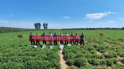 襄州：打造高油酸花生绿色防控示范基地 提升农产品质量