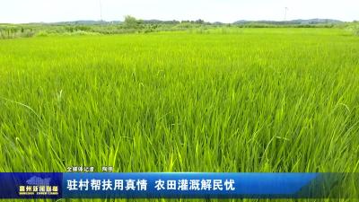 驻村帮扶用真情  农田灌溉解民忧