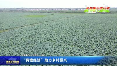 “荷塘经济”  助力乡村振兴