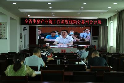 襄州区组织收听收看全省生猪产业链工作调度会议