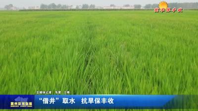“借井”取水  抗旱保丰收