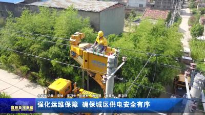 强化运维保障  确保城区供电安全有序