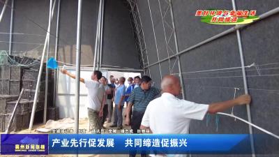 产业先行促发展 共同缔造促振兴