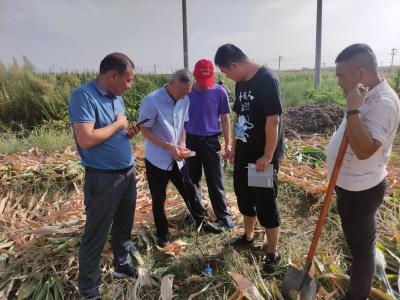 襄州：强化农田墒情监测 助力农业抗旱丰收