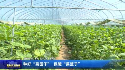 种好“菜园子”  保障“菜篮子”