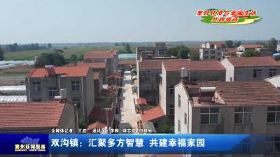 双沟镇：汇聚多方智慧  共建幸福家园