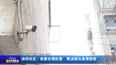 油坊社区：收集社情民意  解决群众急难愁盼