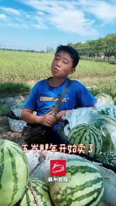 5岁开始卖瓜，什么力量？让卖瓜少年坚守这么多年