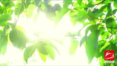 防溺水“神器” 守护“孤泳者”