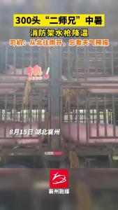 300头猪高速中暑，消防为“二师兄”降温