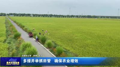多措并举抓田管 确保农业增效