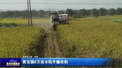 黄龙镇6万亩水稻开镰收割