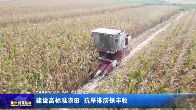 建设高标准农田  抗旱排涝保丰收