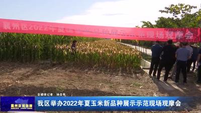 我区举办2022年夏玉米新品种展示示范现场观摩会