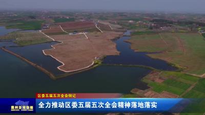 全力推动区委五届五次全会精神落地落实