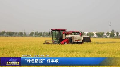 “绿色防控”保丰收