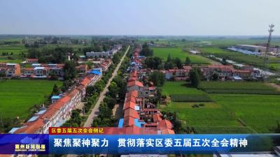 聚焦聚神聚力 贯彻落实区委五届五次全会精神