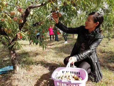 建设美丽家园 缔造幸福生活