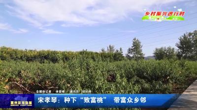 宋孝琴：种下“致富桃”  带富众乡邻