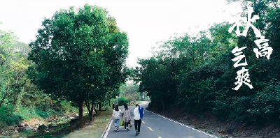 秋高气爽 漫步鹿门 露营正当时