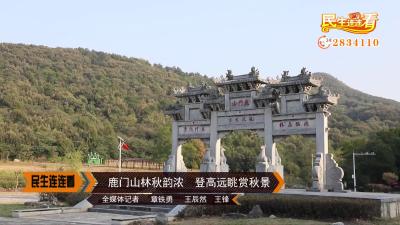 鹿门山林秋韵浓  登高远眺赏秋景