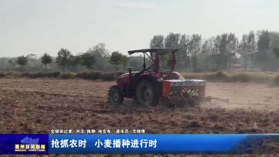 抢抓农时 小麦播种进行时