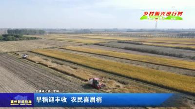 旱田迎丰收  农民喜眉梢