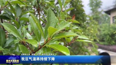 我区气温将持续下降