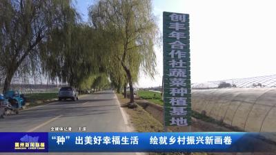 “种”出美好幸福生活  绘就乡村振兴新画卷