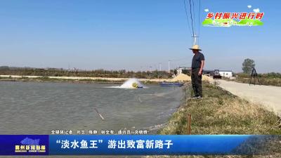 “淡水鱼王”游出致富新路子