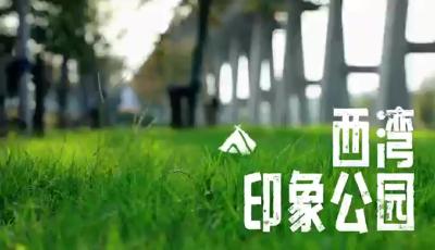 襄州：十年蝶变向美而行 城市新景扑面而来