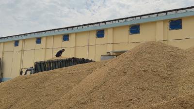 襄州：公司＋农户，让大米“双丰收”