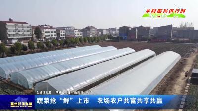 蔬菜抢“鲜”上市  农场农户共富共享共赢