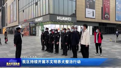 我区持续开展不文明养犬整治行动