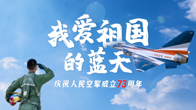我爱祖国的蓝天——人民空军，生日快乐