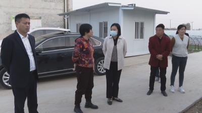 区领导到梁咀村调研常态化疫情防控工作