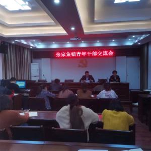 “共同缔造”怎么干？张家集镇青年干部有话说