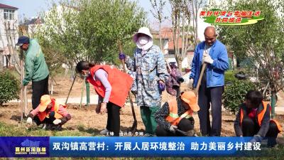双沟镇高营村：开展人居环境整治  助力美丽乡村建设