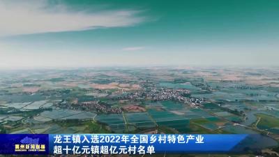 龙王镇入选2022年全国乡村特色产业超十亿元镇亿元村名单