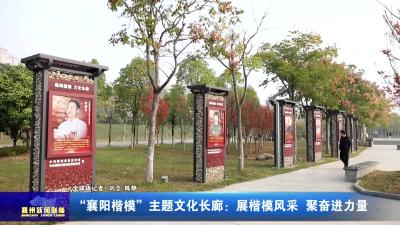 “襄阳楷模”主题文化长廊：展楷模风采  聚奋进力量