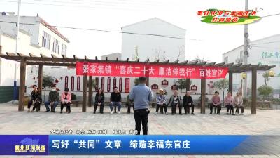写好“共同”文章  缔造幸福东官庄