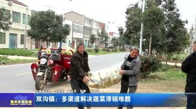 双沟镇：多渠道解决蔬菜滞销难题