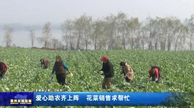 爱心助农齐上阵  花菜销售求帮忙