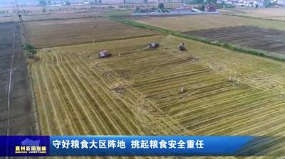 守好粮食大区阵地  挑起粮食安全重任