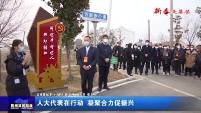 人大代表在行动  凝聚合力促振兴